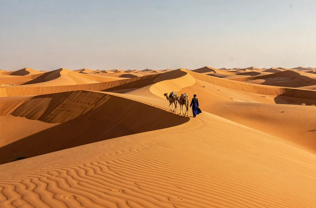 Caravane de chameaux conduite par un guide touareg traversant les grandes dunes de sable de l'Erg algérien, évoquant le plus grand pays d'Afrique